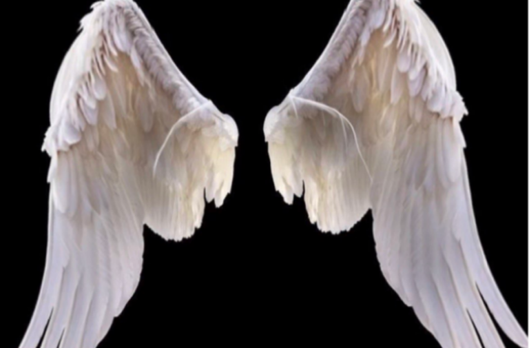 Why Wing-Inspired Jewelry Feels Easy to Wear for a Long Time
